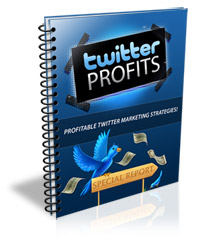 Twitter Profits